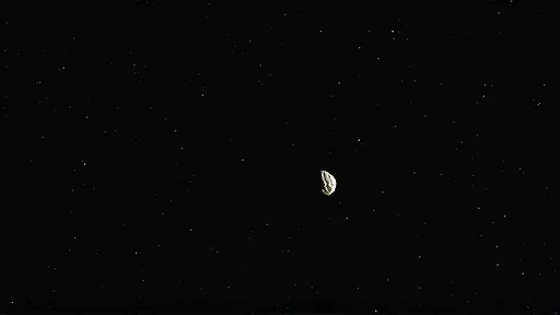 Asteroid 1998 SH2 Revealed as Hidden Comet (Bild 2)