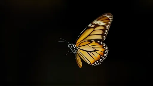 Butterfly Wings Use Optical Illusions to Evade Capture (Image 1)
