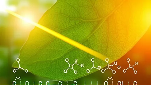 Classical Math May Mimic Quantum Effects in Life (Image 1)