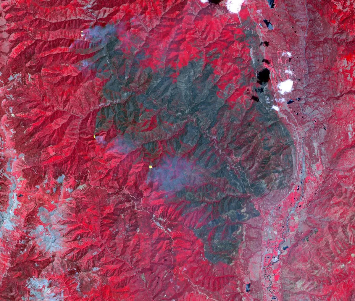 Colorado's Wildfire Code Costs Less Than the Market Assumes