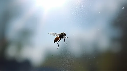 Glass windows trap insects seeking light (Bild 1)