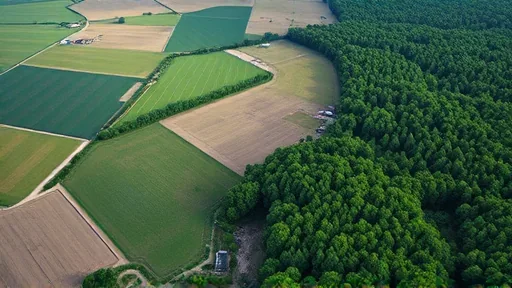 Healthy diets could shrink global farmland by 6 percent (Bild 2)