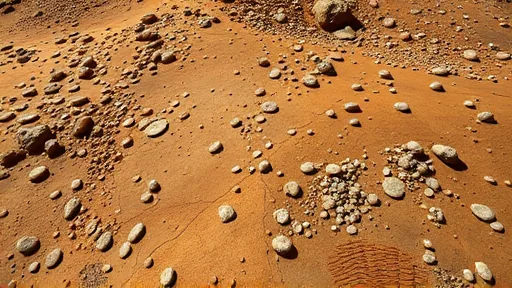 Mars Rover Finds Mysterious Disc Shapes in Bedrock (Image 1)