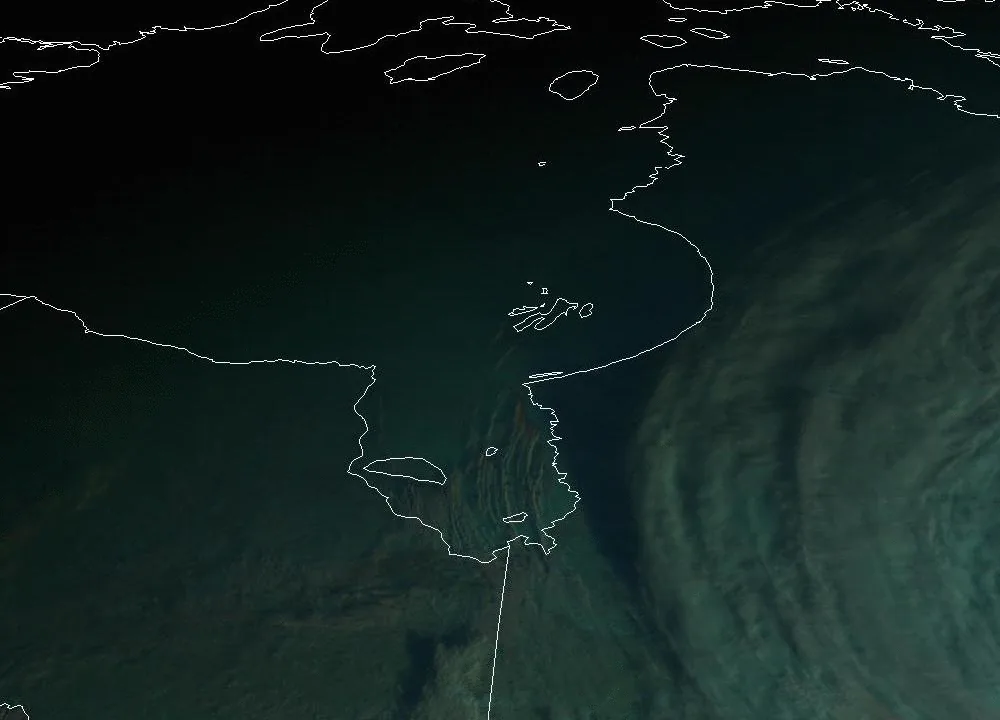 Nearly Every Shallow Reef Is Now on the Critical List