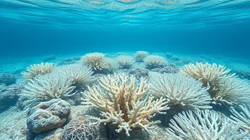 Nearly Every Shallow Reef Is Now on the Critical List (Image 2)