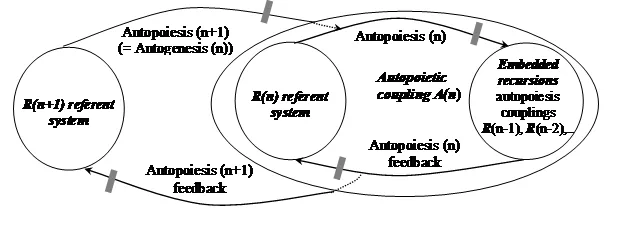 Recursive Self Generation Exposes AI Memorization