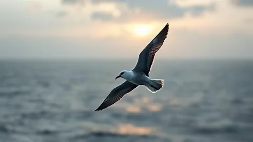 The Bird That Gives Itself Jet Lag (Image 1)