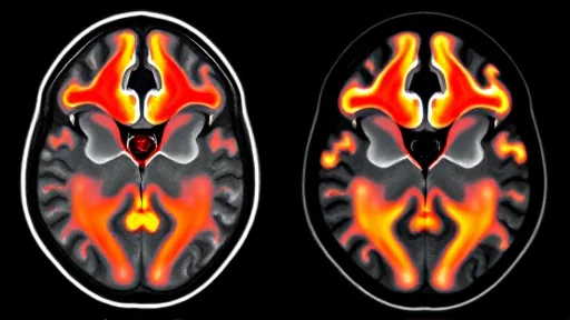 Three Scientific Findings That Overturn Old Beliefs (Bild 1)