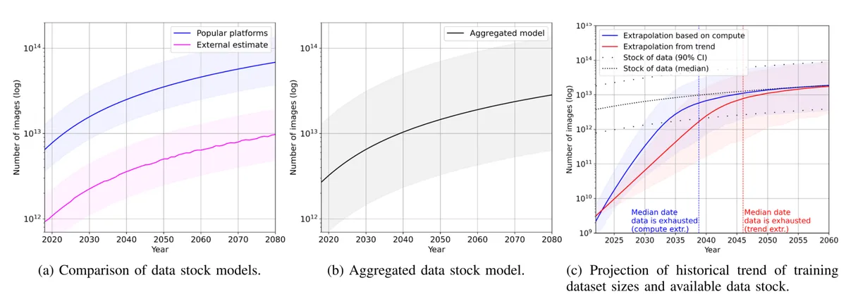 Vision Models Destabilized by Image Presence