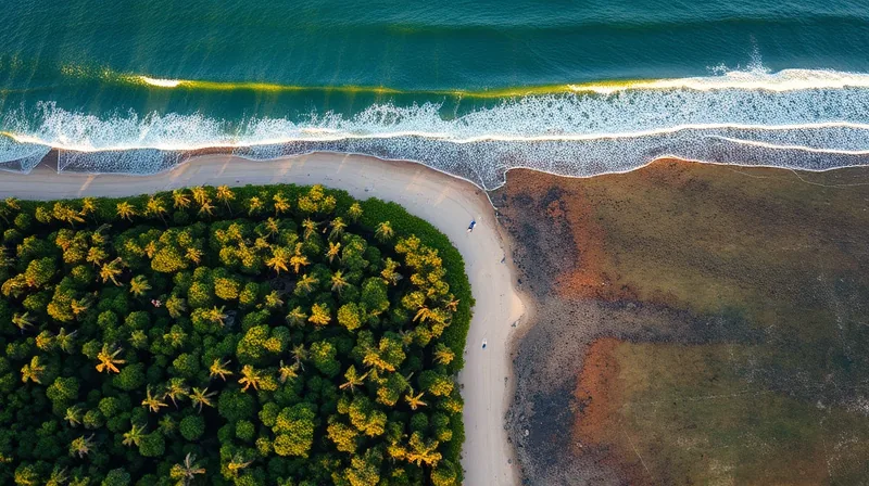 Waves Decide Where Mangroves Can Stand