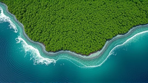 Waves Decide Where Mangroves Can Stand (Image 1)