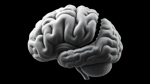 When the Machine Knows Which Way the Head Is Facing (Image 1)